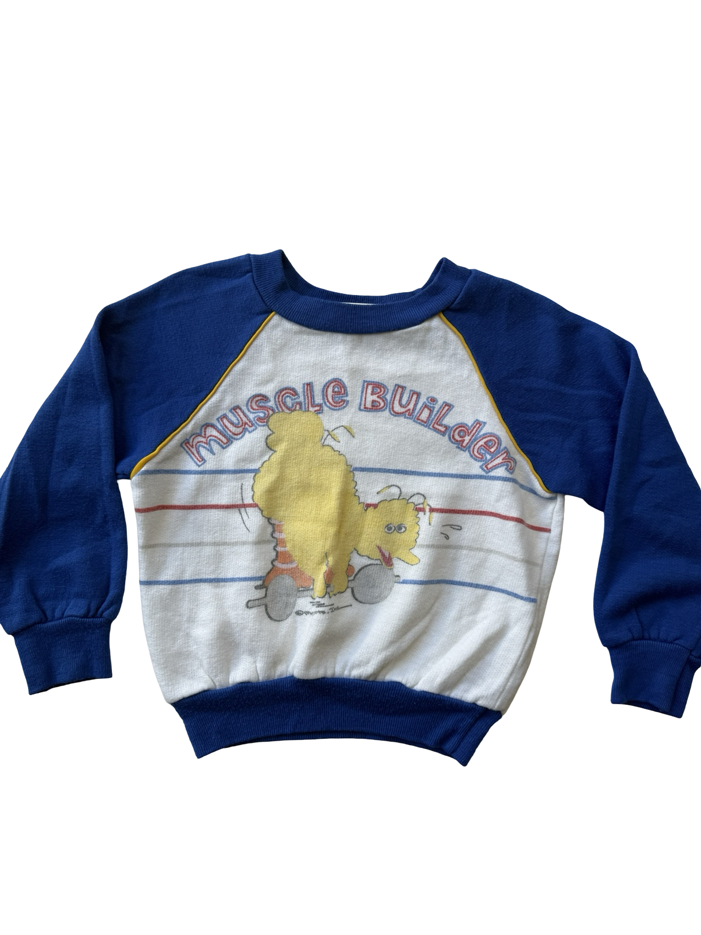 Big Bird vintage crewneck