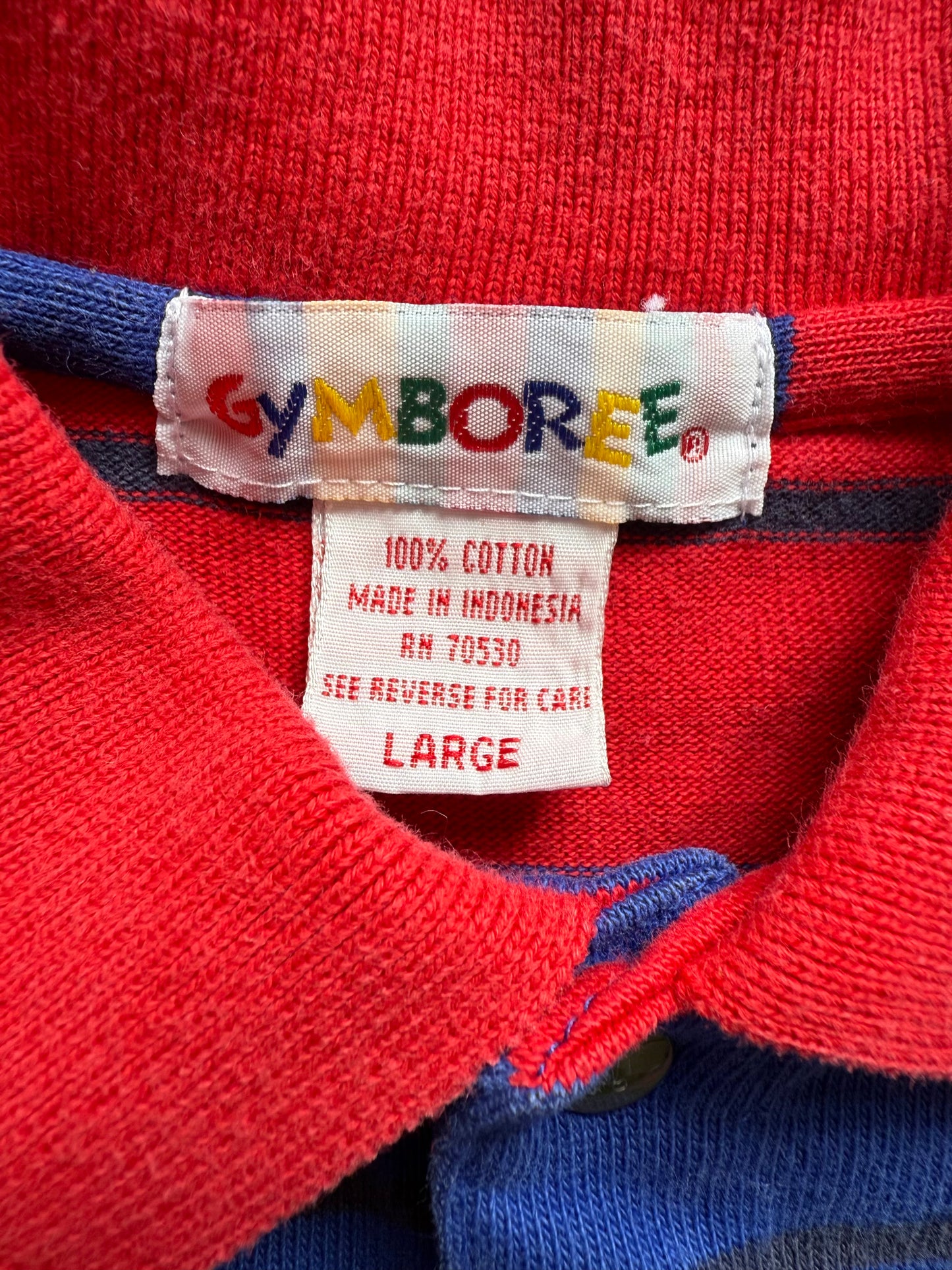 Rainbow Gymboree long sleeve (3-5)