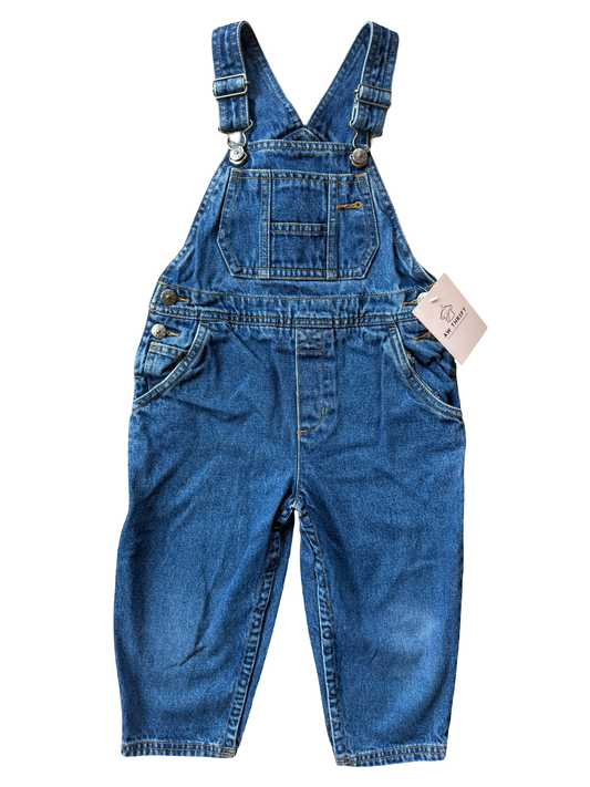 Rainbow Gymboree Denim Overalls