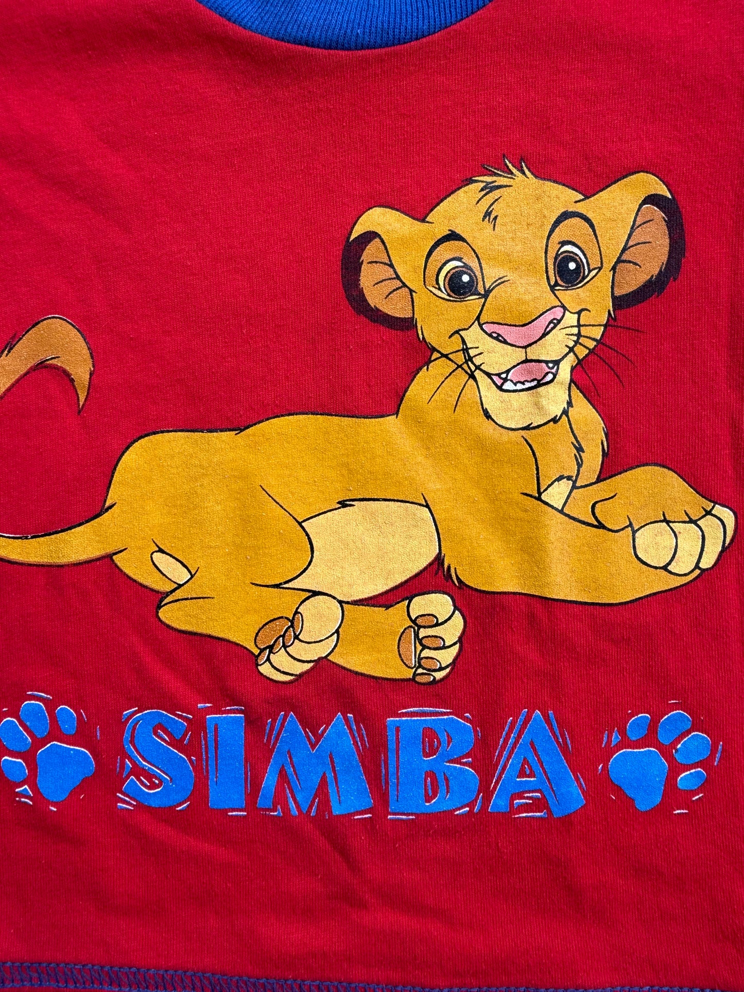 Lion King Simba (3)
